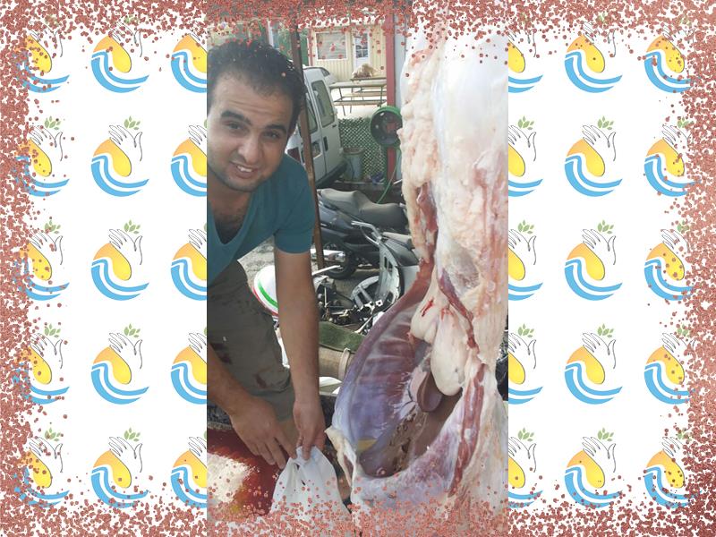 الأضاحي في تركيا