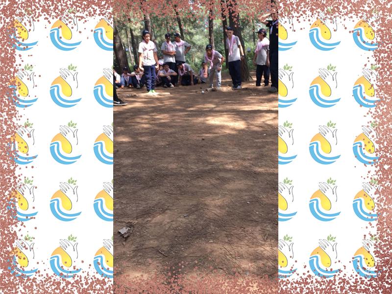 المخيمات الثقافية