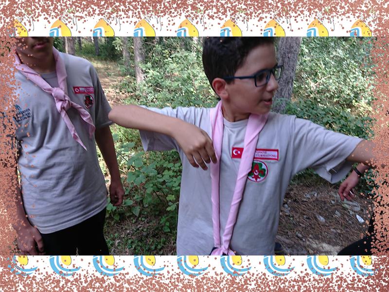 المخيمات الثقافية
