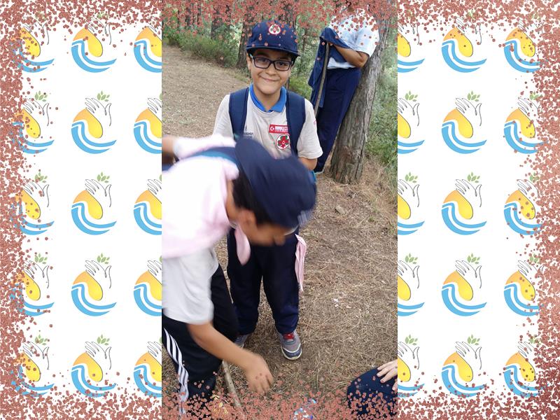 المخيمات الثقافية