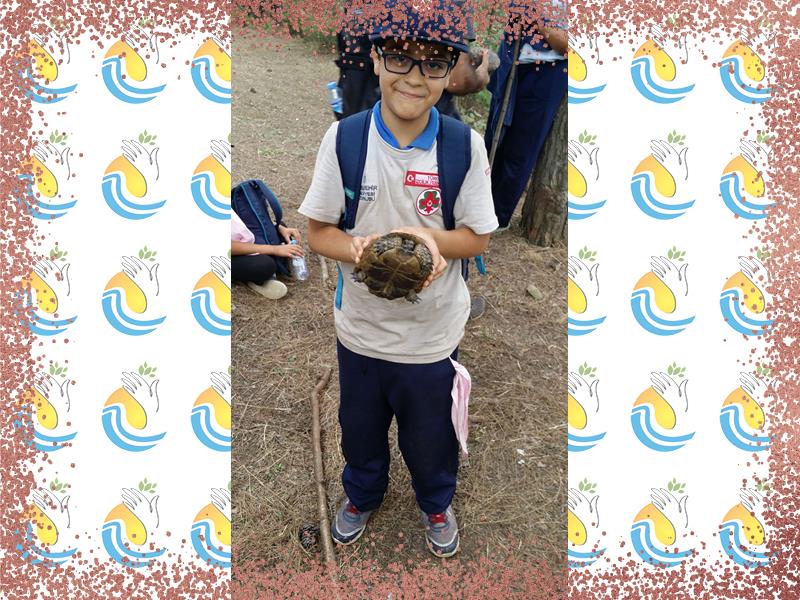 المخيمات الثقافية