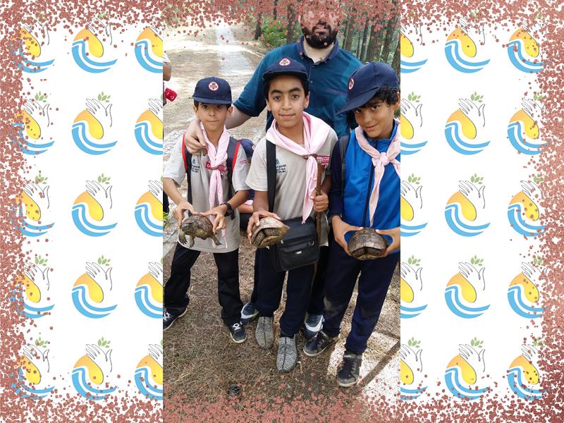 المخيمات الثقافية