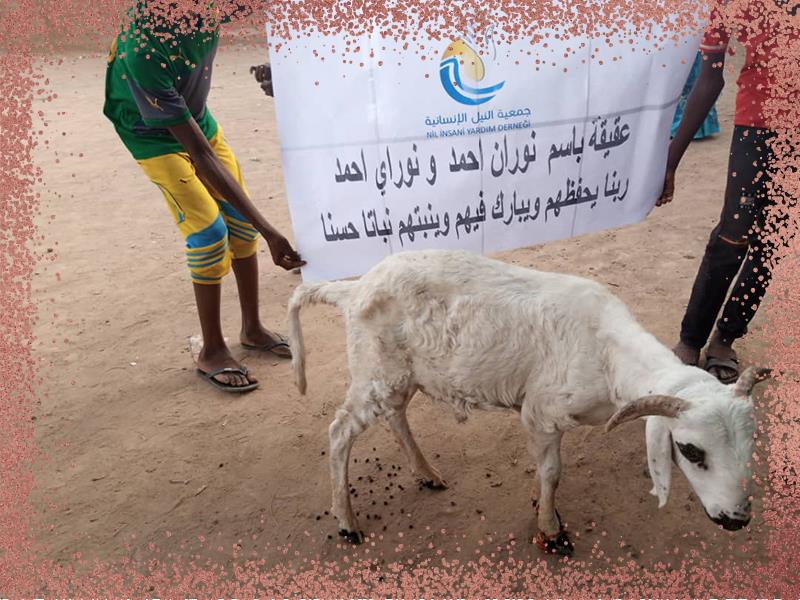 العقائق