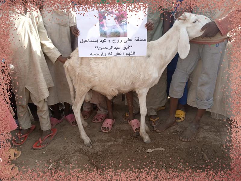 الصدقات