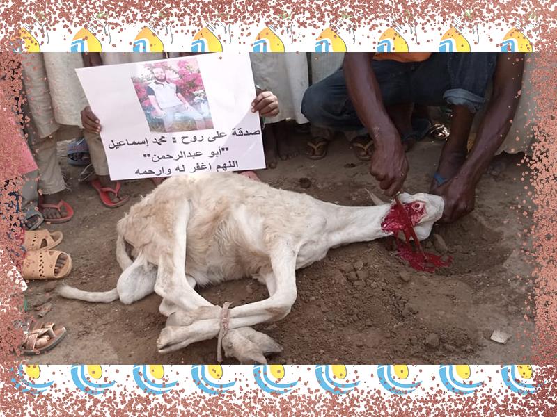 الصدقات