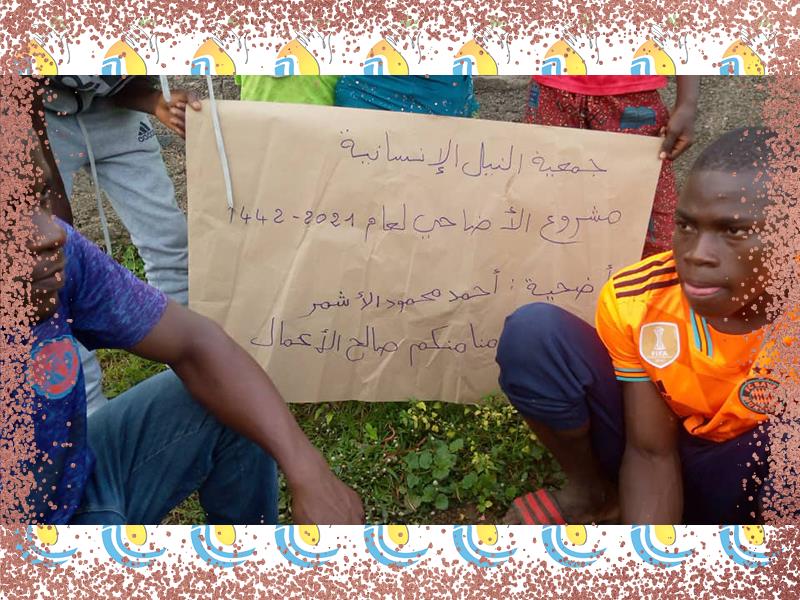 الأضاحي في افريقيا