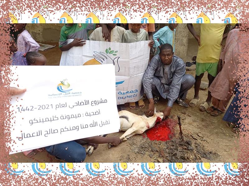 الأضاحي في افريقيا